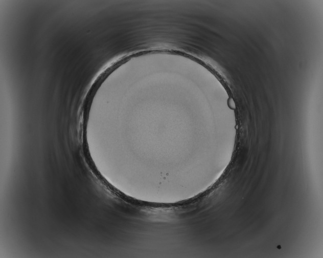 X0000086021126200704131844