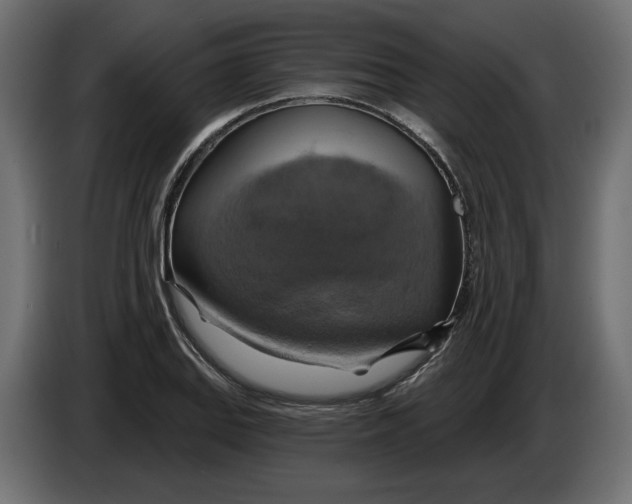 X0000086021127200704131844
