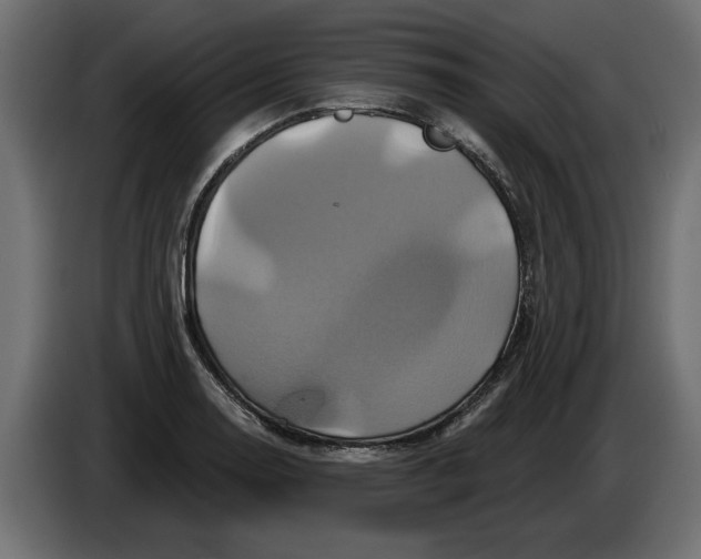 X0000086021130200704131844