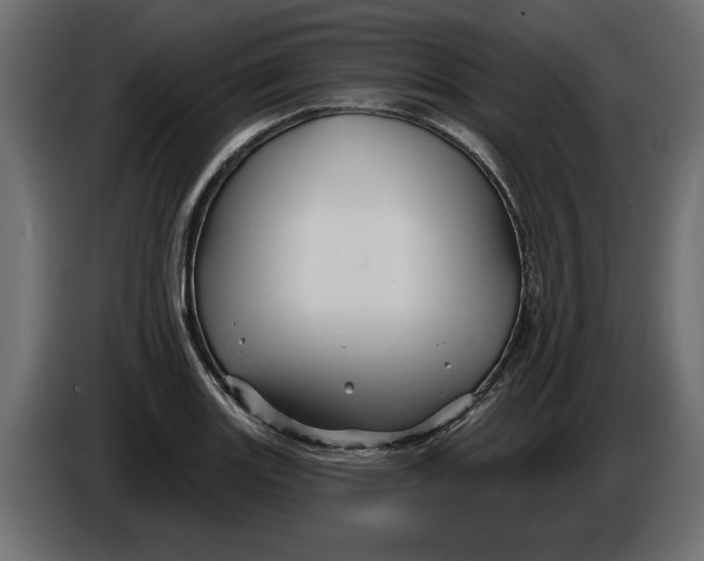 X0000086021131200704131844