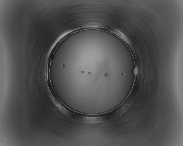 X0000086021132200704131844