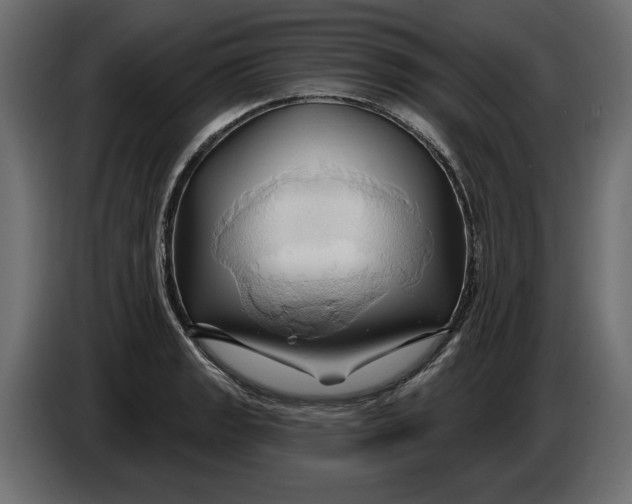 X0000086021133200704131844