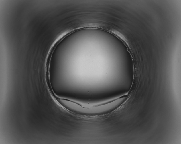 X0000086021135200704131844