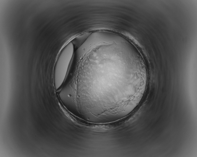 X0000086021137200704131844