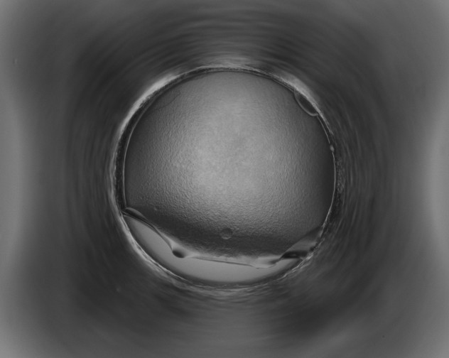 X0000086021139200704131844