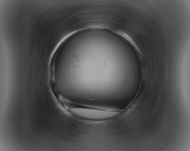 X0000086021140200704131844