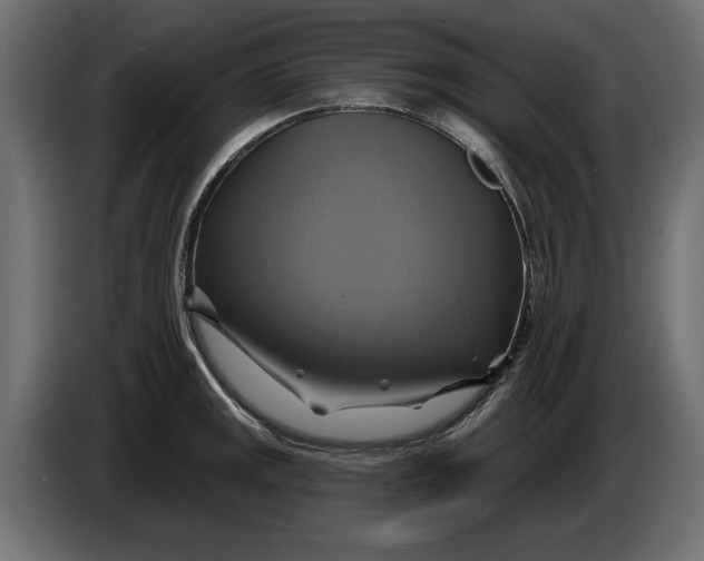 X0000086021141200704131844