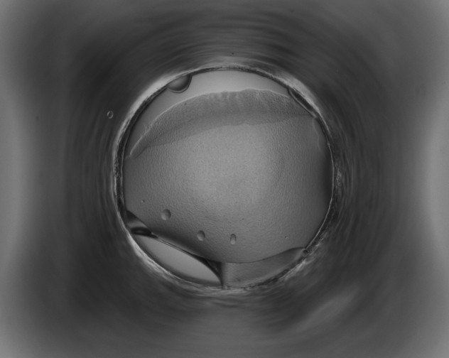 X0000086021143200704131844