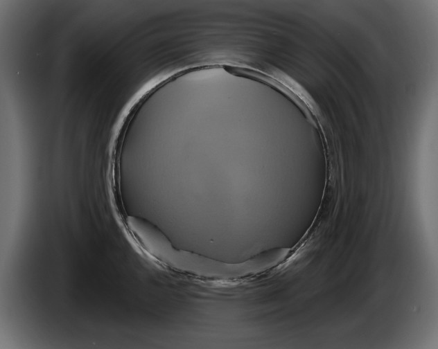 X0000086021144200704131844