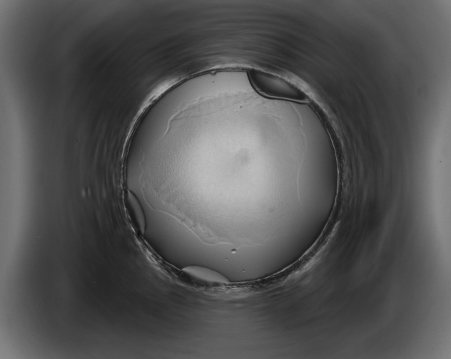 X0000086021145200704131844