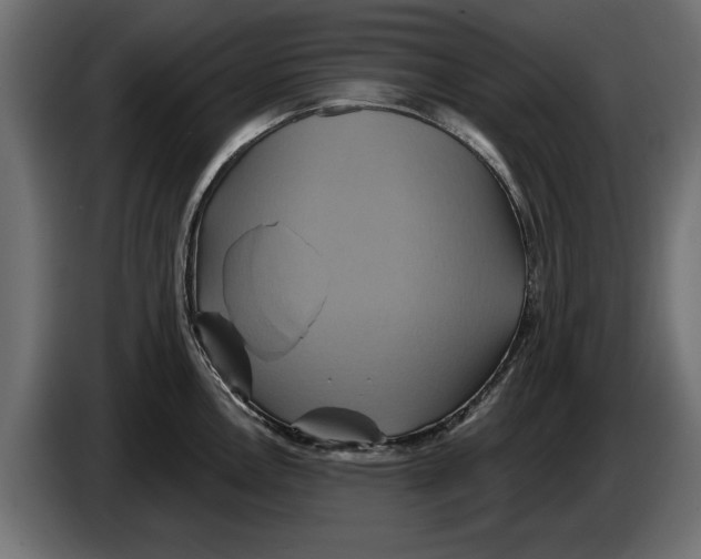 X0000086021146200704131844