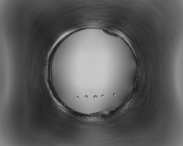 X0000086021147200704131844