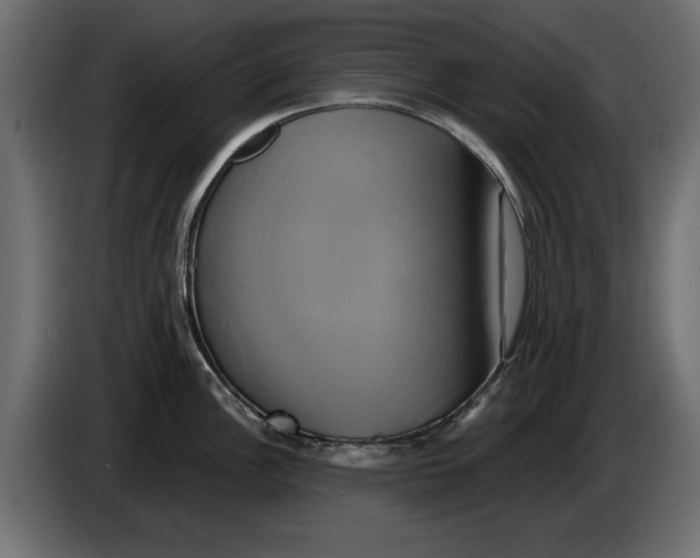 X0000086021148200704131844