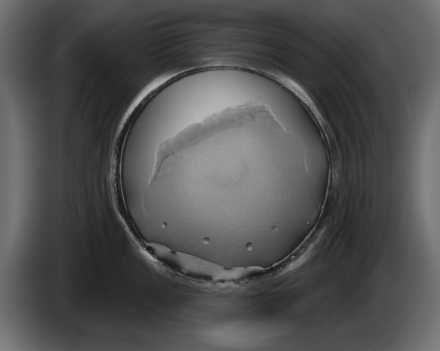 X0000086021149200704131844