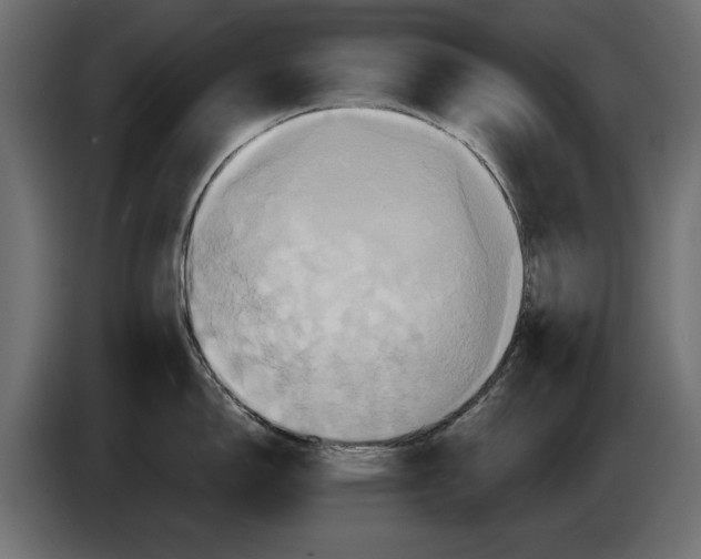 X0000086021150200704131844