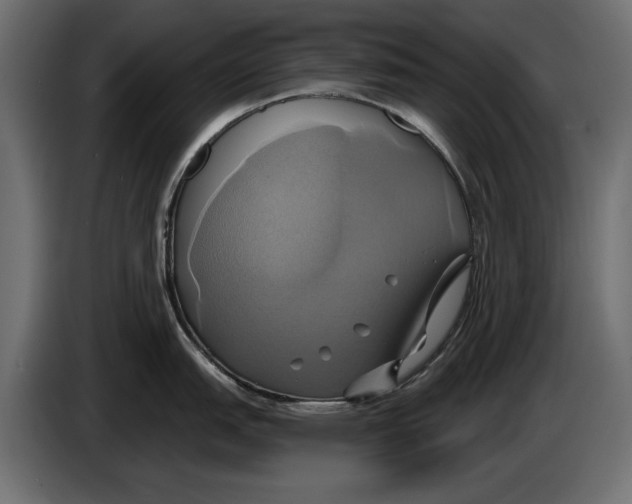 X0000086021151200704131844