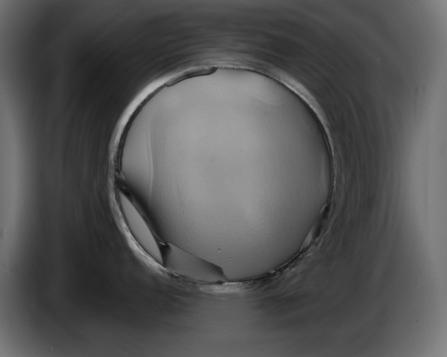 X0000086021152200704131844