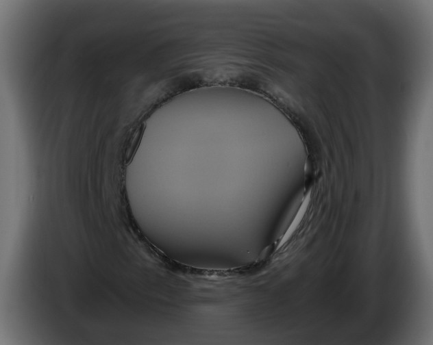 X0000086021153200704131843