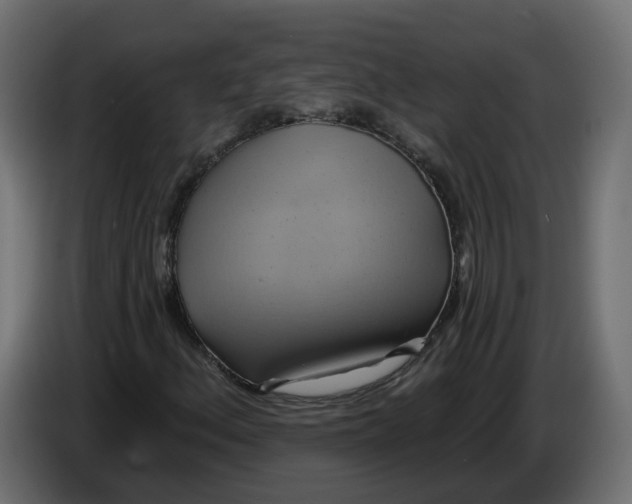 X0000086021156200704131843