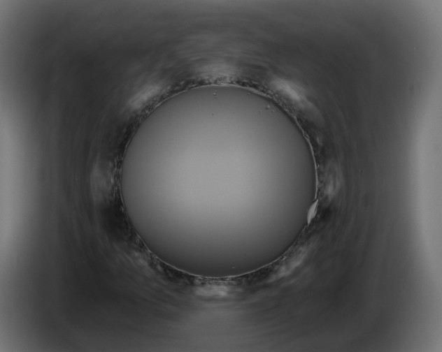X0000086021157200704131843