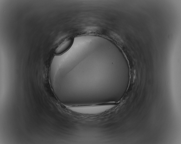 X0000086021158200704131843