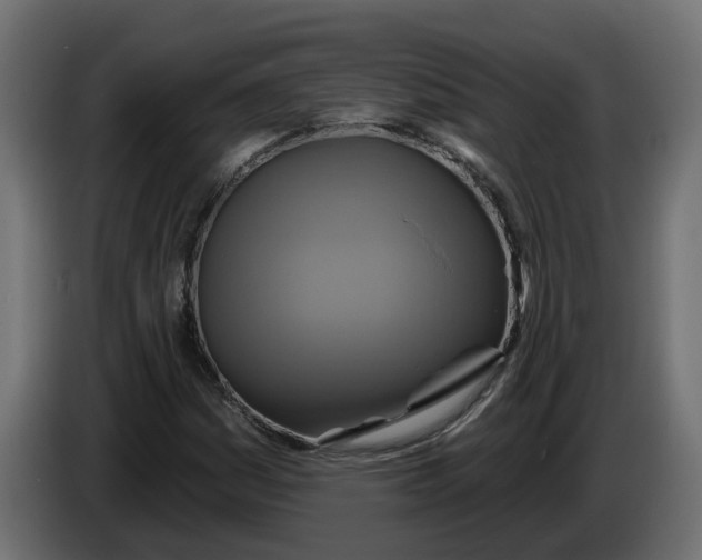 X0000086021161200704131843