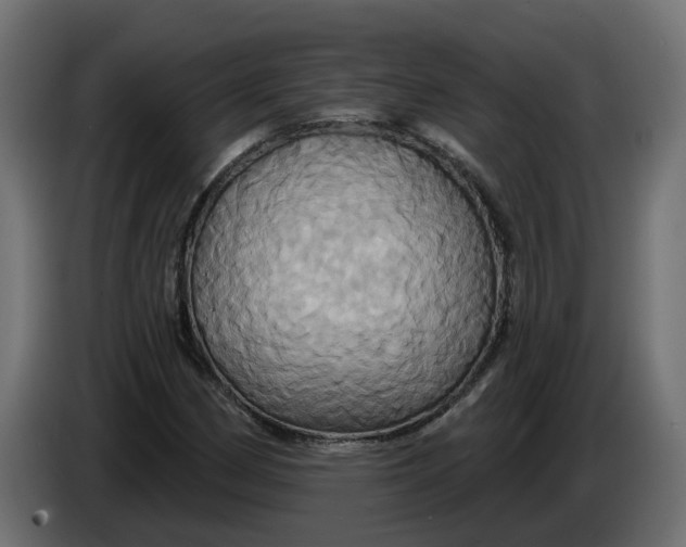 X0000086021162200704131843