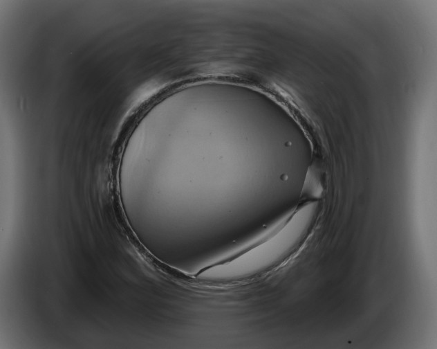 X0000086021164200704131843