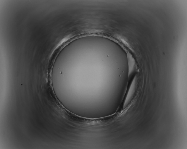 X0000086021165200704131843