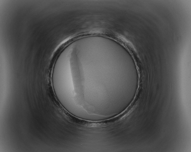 X0000086021166200704131843