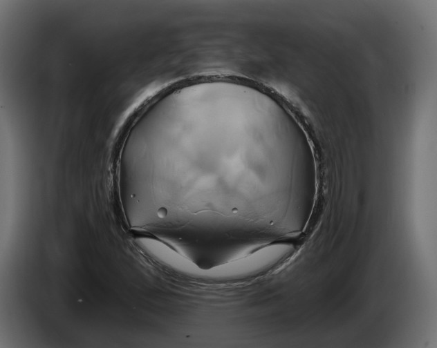 X0000086021167200704131843