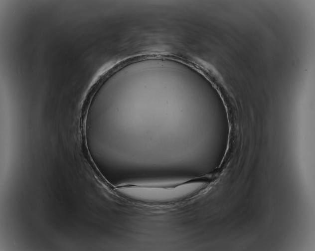 X0000086021168200704131843
