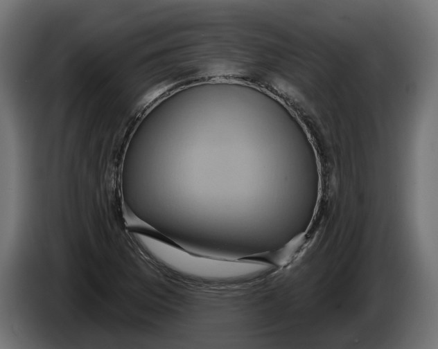 X0000086021169200704131843