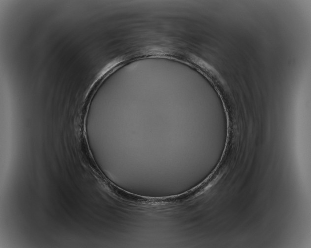 X0000086021170200704131843