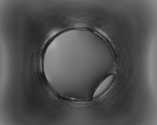 X0000086021171200704131843