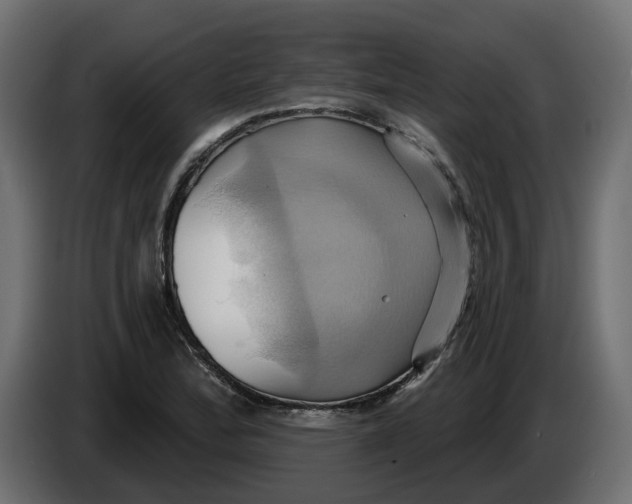 X0000086021172200704131843