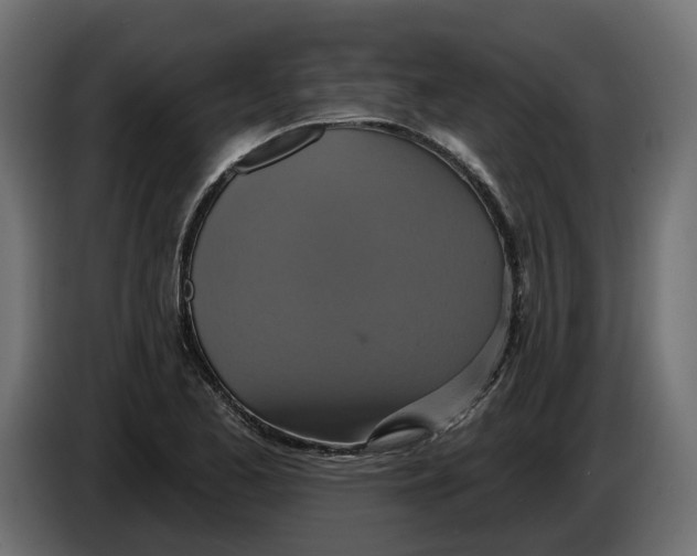X0000086021173200704131843