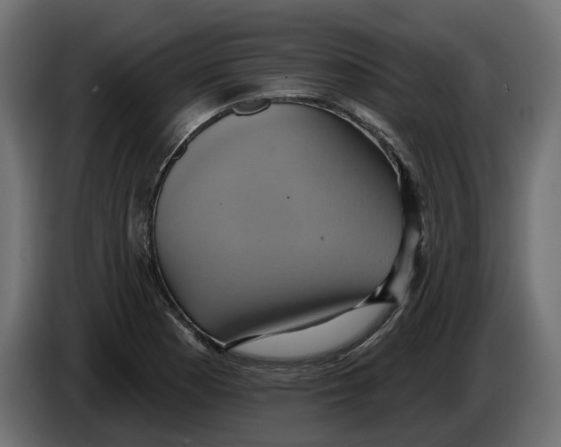 X0000086021177200704131843