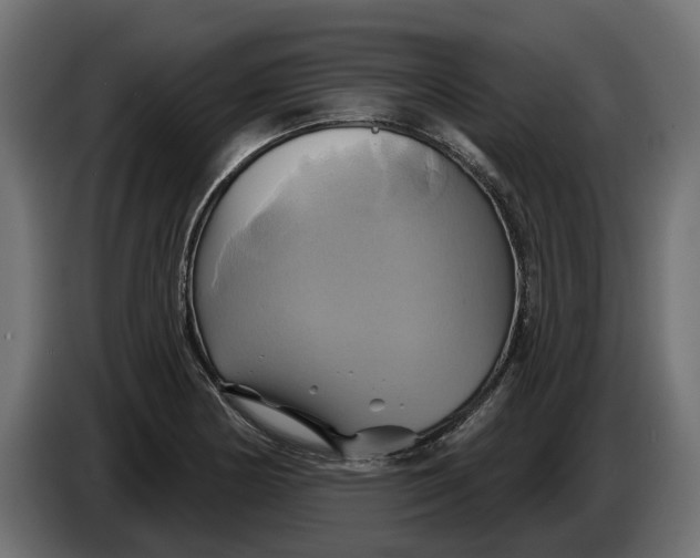 X0000086021178200704131843