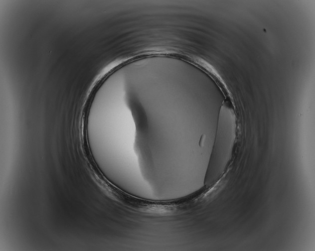 X0000086021179200704131843