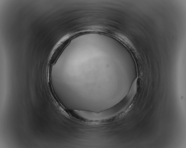 X0000086021180200704131843
