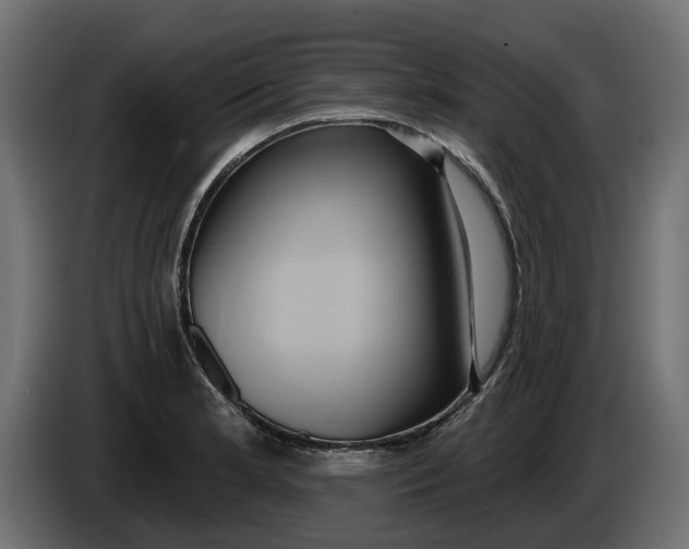 X0000086021181200704131843