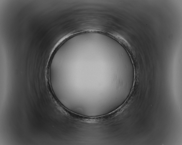 X0000086021182200704131843