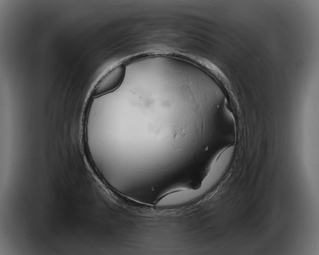 X0000086021183200704131843