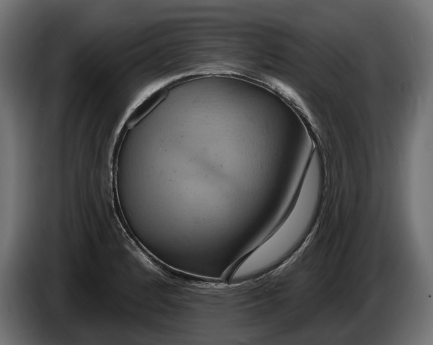 X0000086021184200704131843