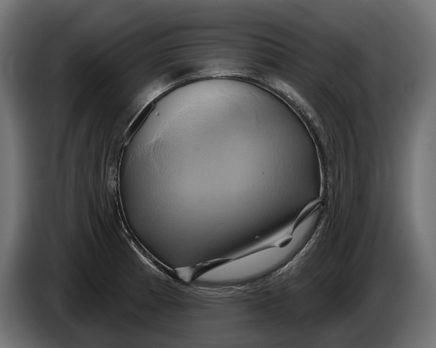 X0000086021185200704131843