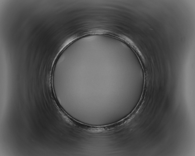 X0000086021186200704131843