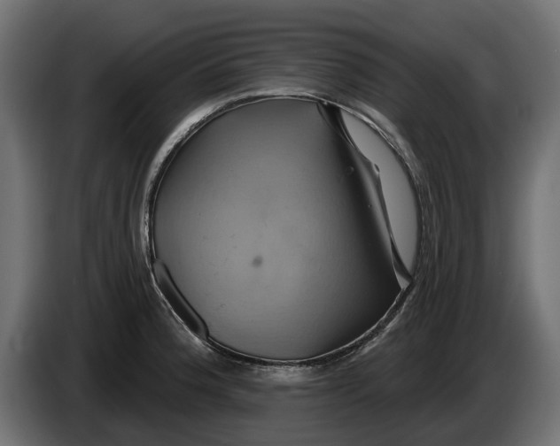 X0000086021188200704131843