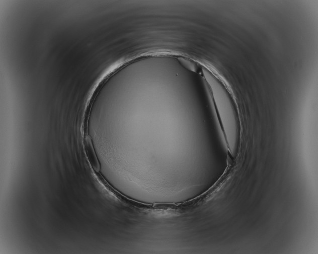X0000086021189200704131843