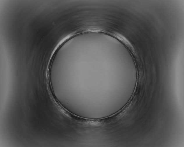 X0000086021190200704131843